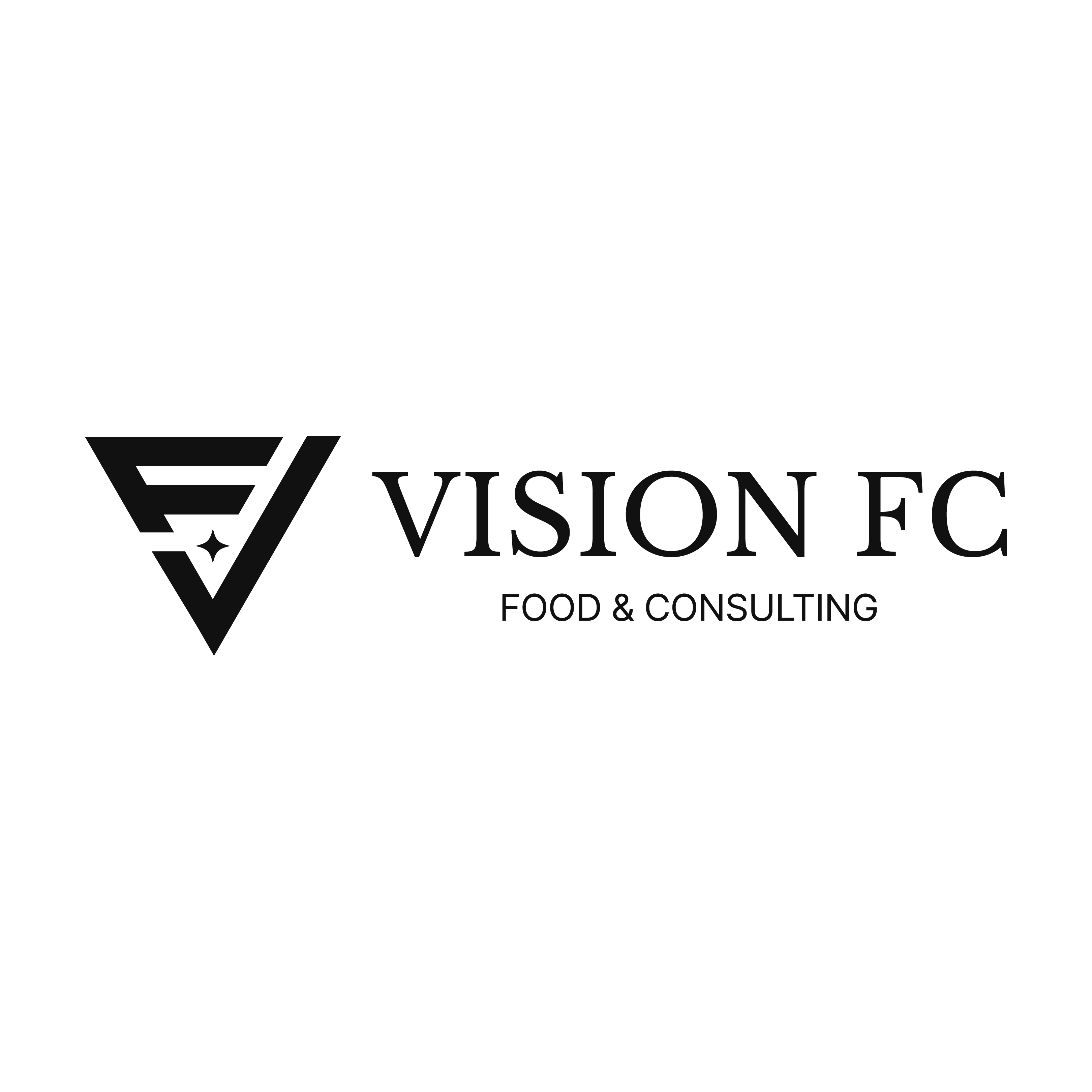 VISION FC