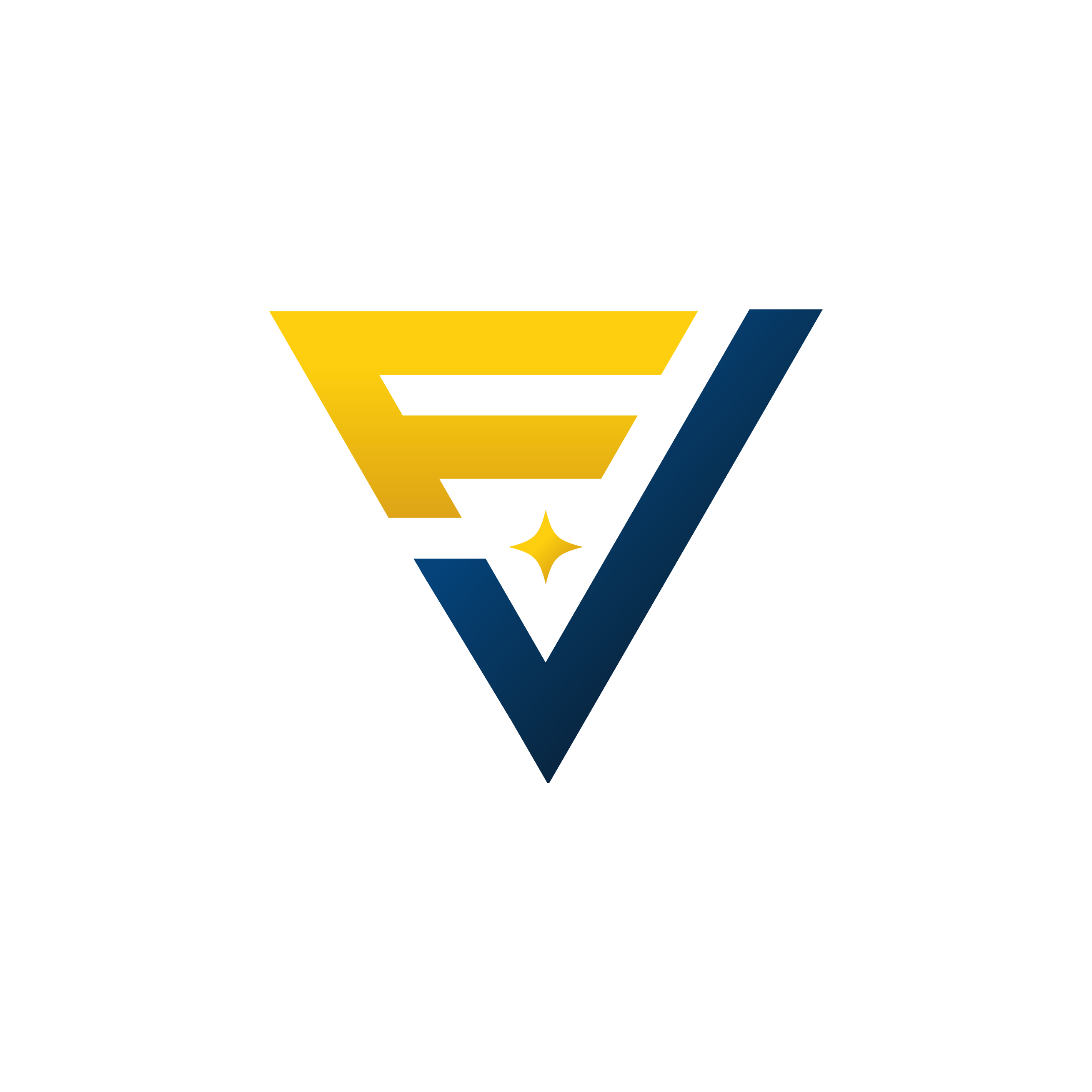 VISION FC